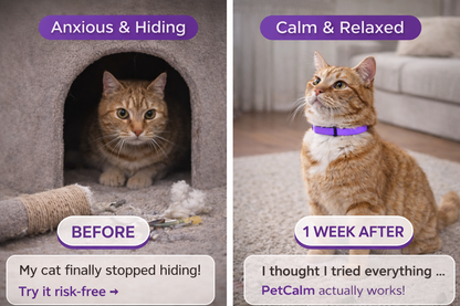 PetCalm - Stop Your Pet’s Anxiety in Minutes Without Medication