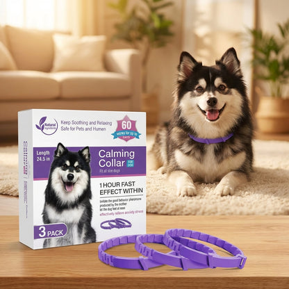 PetCalm - Stop Your Pet’s Anxiety in Minutes Without Medication