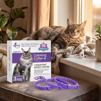 PetCalm - Stop Your Pet’s Anxiety in Minutes Without Medication