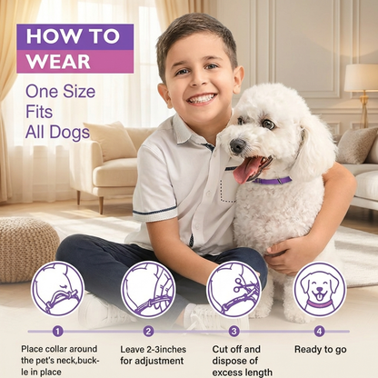 PetCalm - Stop Your Pet’s Anxiety in Minutes Without Medication