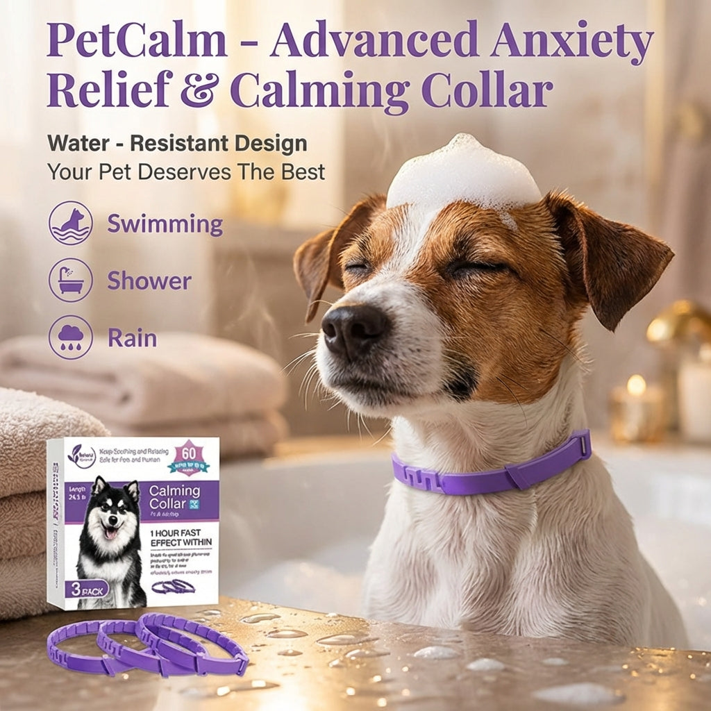 PetCalm - Stop Your Pet’s Anxiety in Minutes Without Medication