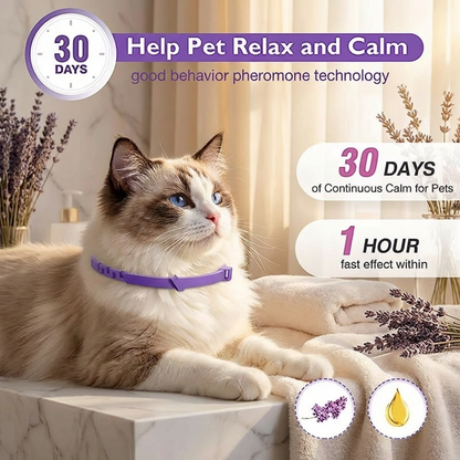 PetCalm - Stop Your Pet’s Anxiety in Minutes Without Medication