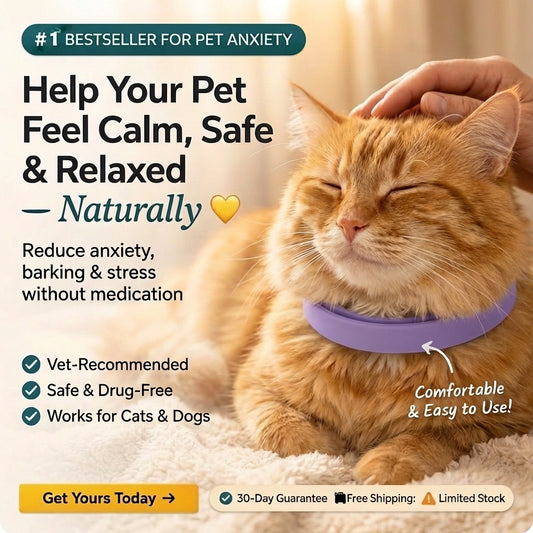PetCalm - Help Your Pet Feel Calmer & More Relaxed Naturally
